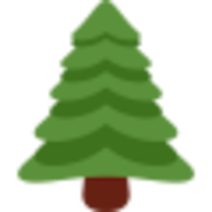 Wills Hill Tree Removal Solutions